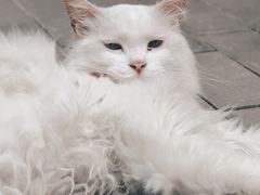 -创艺无限·赵春香微妙艺术馆