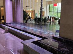 -常州环球恐龙城维景国际大酒店