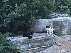 -北京西山国家森林公园