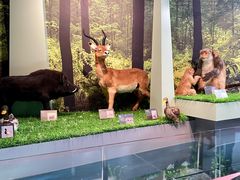 -房山世界地质公园博物馆