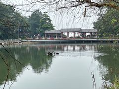 -广州市帽峰山景区