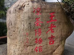 -广州神农草堂中医药博物馆