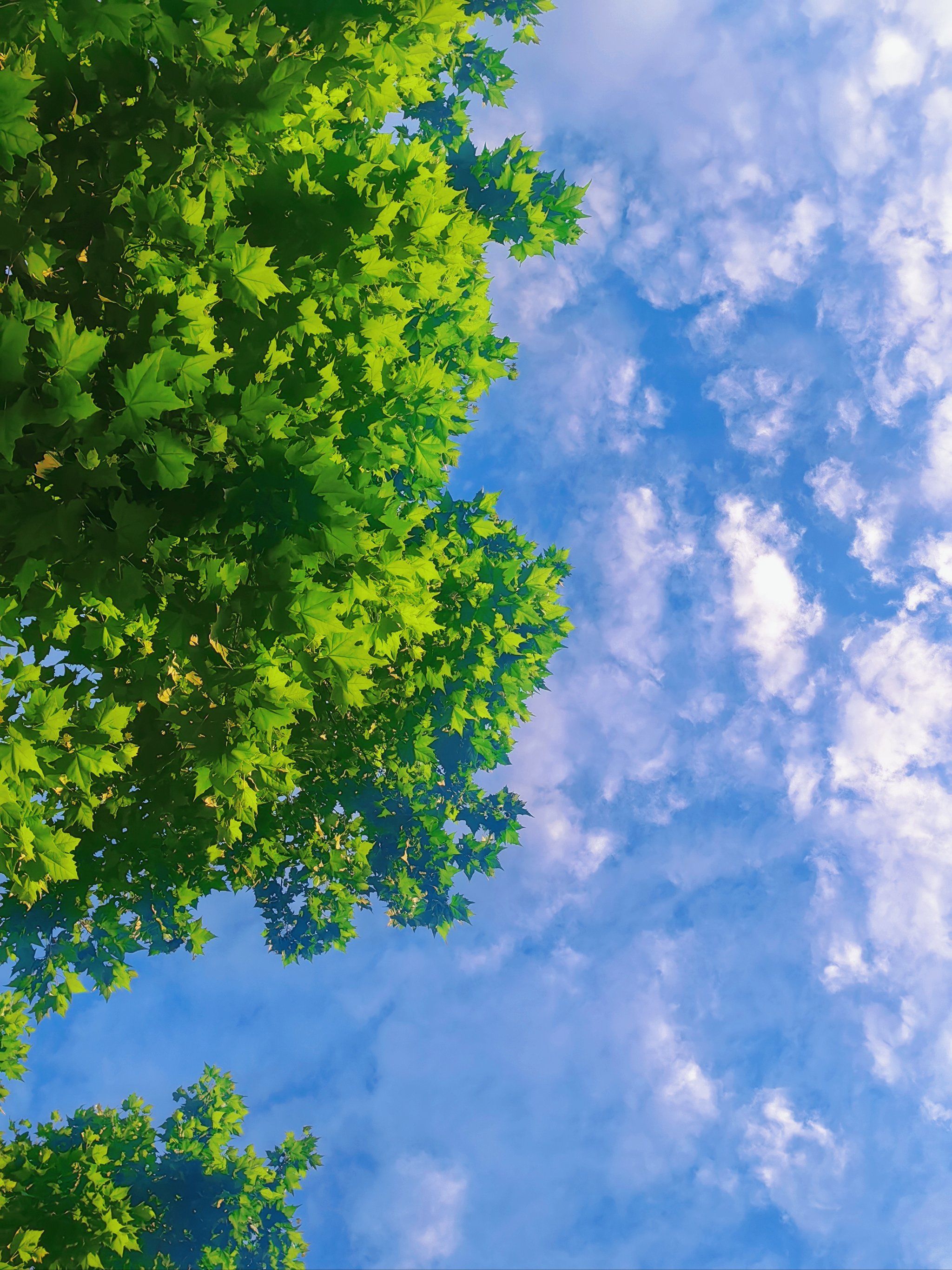 南京玩乐|天空是蔚蓝色,窗外有千纸鹤