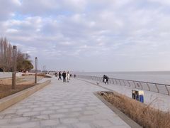 -瀛洲公园