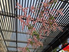 -荷风细雨·中国茶宴(碧云店)