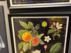 -宜家家居(四元桥商场店)