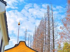 -龙华寺