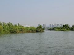 -芒洲湿地公园