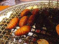 -原始泥炉烤肉(总店)
