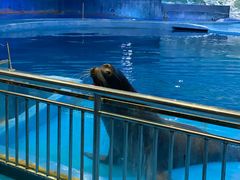 -多彩贵州城极地海洋世界