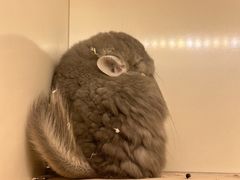 -龙猫仔乐园(惠福东路店)