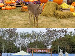 -盈香心动乐园