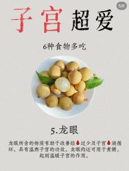 -Fundi张玉珊修身堂·indiba·BTL科技瘦身