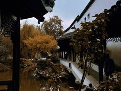 -秋霞圃