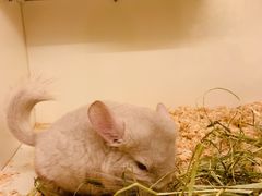 -龙猫仔乐园(惠福东路店)