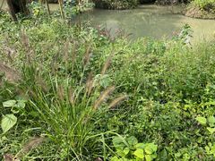 -烟水渔庄餐厅(西溪湿地店)