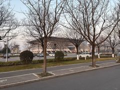 -安阳博物馆