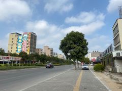 -伟记牛肉(金鸿公路店)