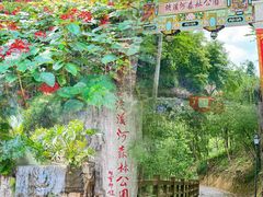 -广州市流溪河国家森林公园