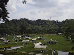 -风云岭森林公园