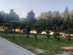 -长春公园(普阳街道)