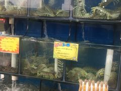 水产区-蚝专家(北滘店)