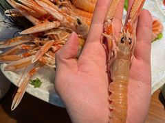 -和彩放题(渔阳店)