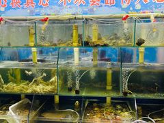 水产区-来之顺海鲜菜馆·青岛菜(栈桥店)