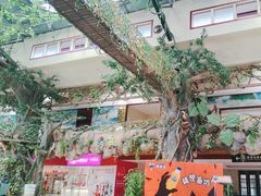 -呀诺达热带雨林
