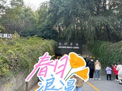 -先锋书店(五台山总店)