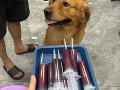 -东莞宠友24H宠物中心医院·转诊夜诊·异宠(新河北路院)