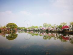 -无锡蠡湖国家湿地公园-蠡园