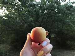 -长春公园(普阳街道)