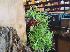 -正源安吉白茶特产享购商场(安吉店)