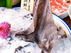 -九鼎轩脆毛肚火锅(三钢里店)