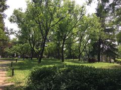 -陕西民俗大观园