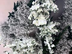 -泰尚臻Siam Essence