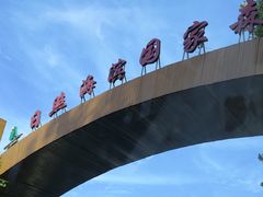 -日照海滨国家森林公园