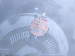 -三旗百汇商品城