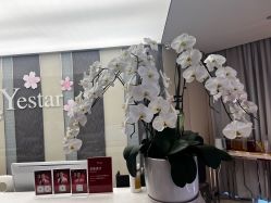 -Yestar宁波艺星整形医院
