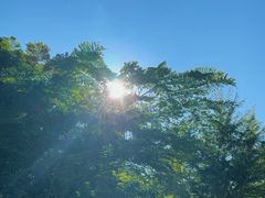 -野象谷景区