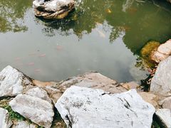 -木兰水镇旅游景区