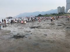 -在海一方公园