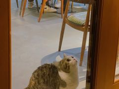 -IFIF 如果花園(宽厚里店)