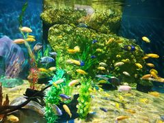 -石家庄市动物园