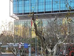 -上海静安香格里拉大酒店