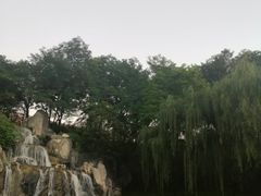 -唐御宴•御宴宫•唐代菜点(芙蓉西路店)