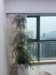 -HEYAN荷妍专业脱毛连锁机构