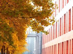 -四川大学(望江校区)