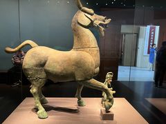 -广西壮族自治区博物馆